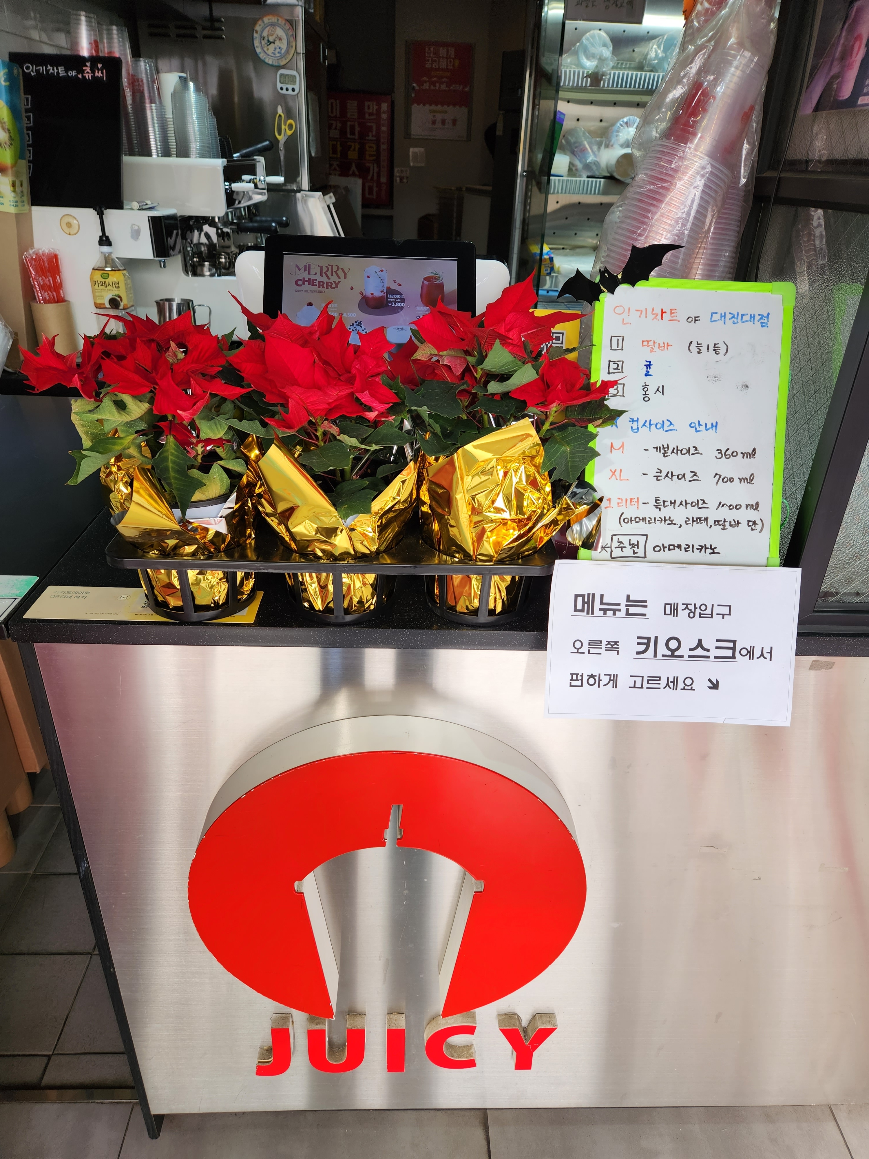 5번째 이미지