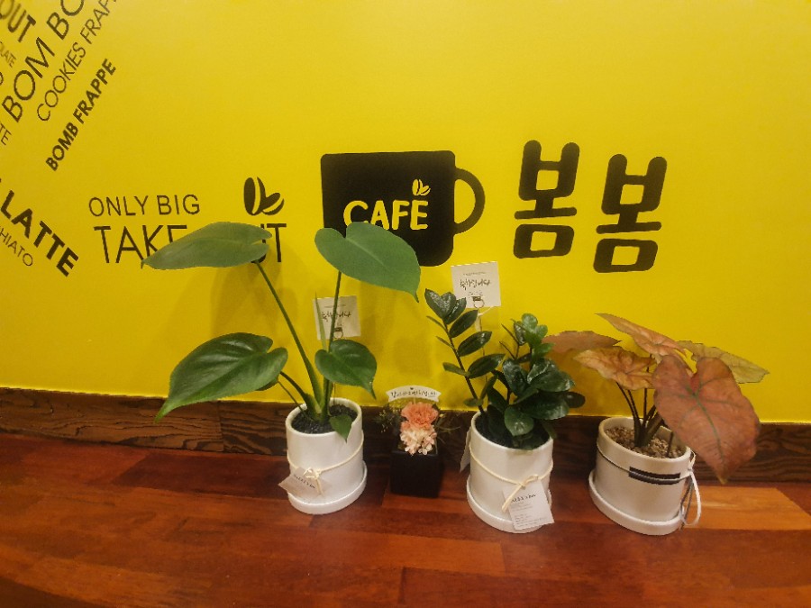4번째 이미지