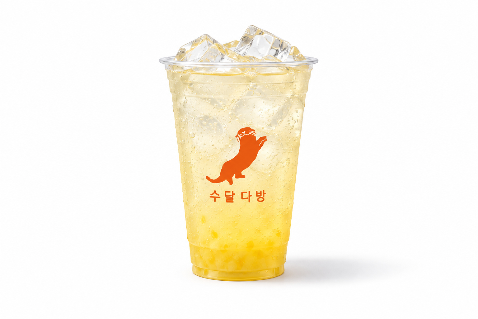 메뉴 이미지