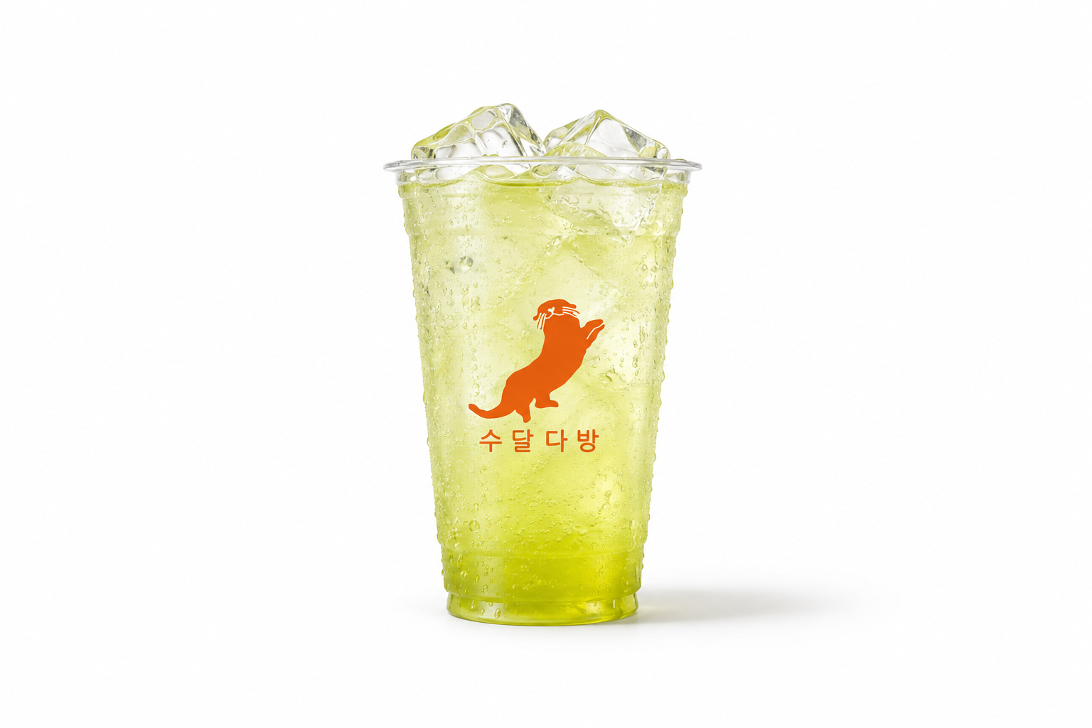 메뉴 이미지