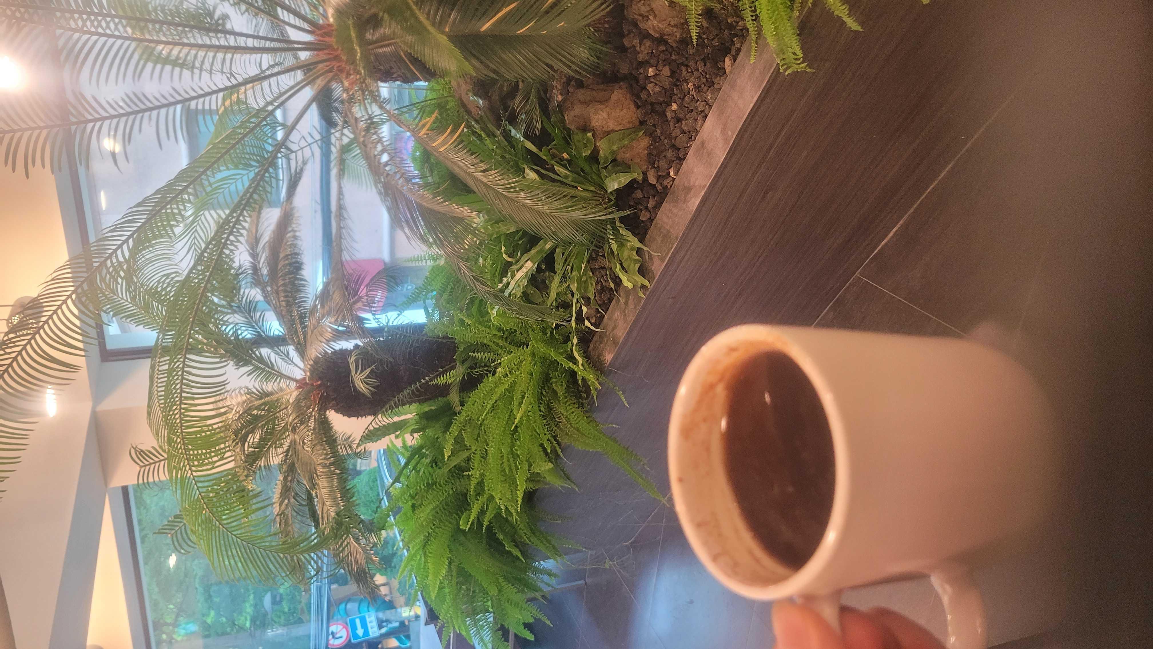 오늘도 모닝커피