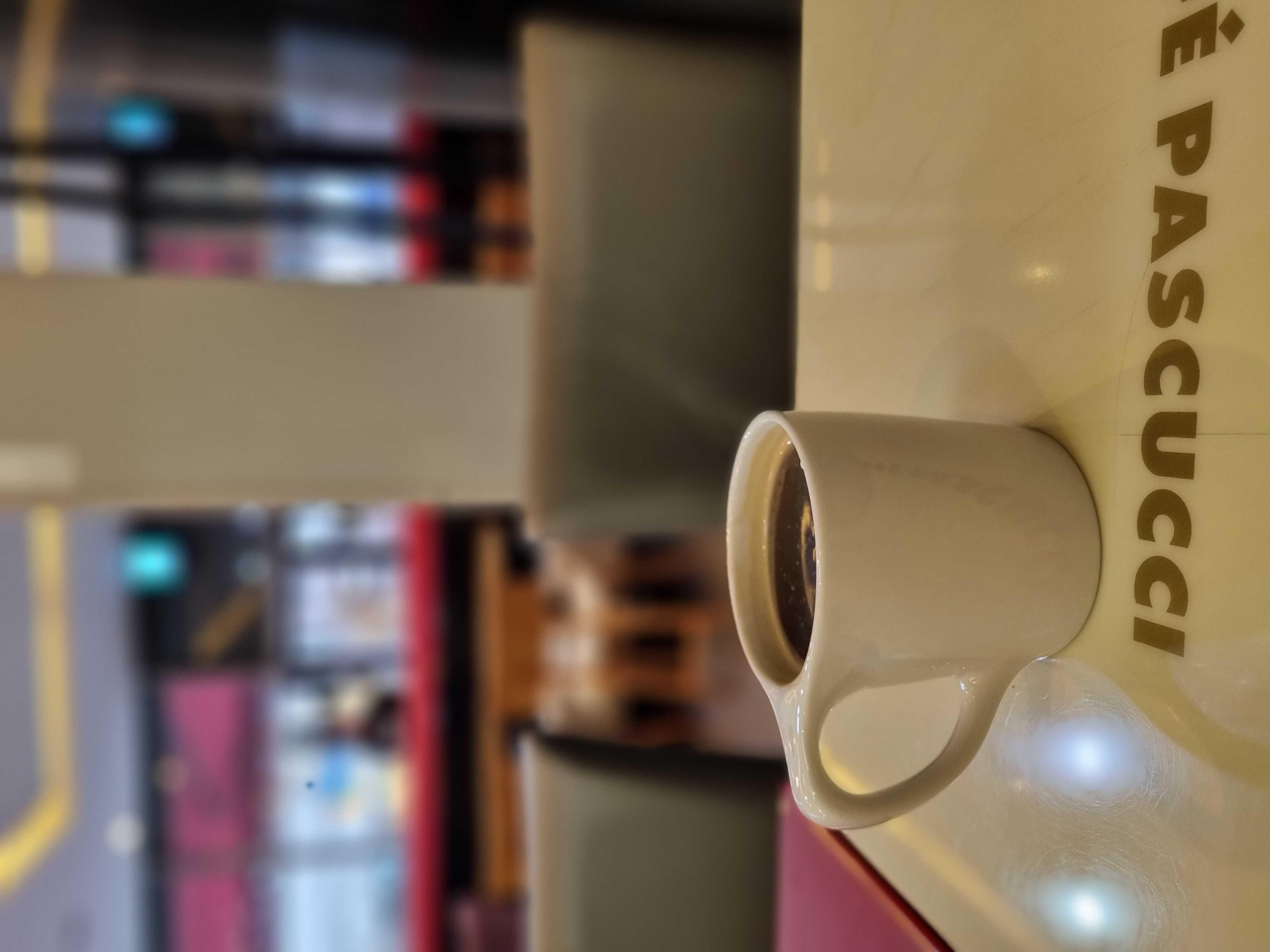 항상 친절한 내단골~파스쿠치♡
파스쿠