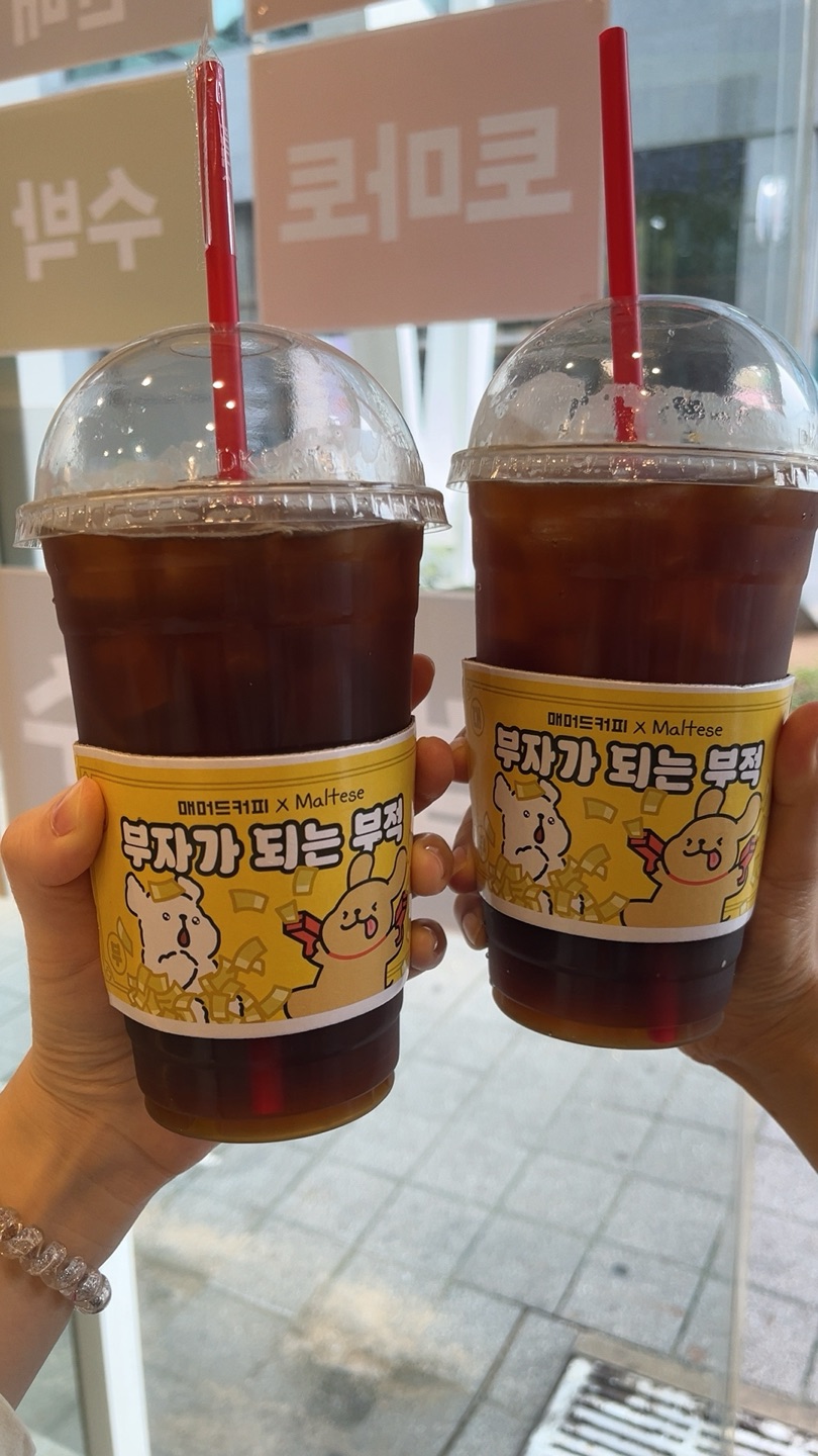 몰티즈 컵 홀더 기엽덩 🐶💛