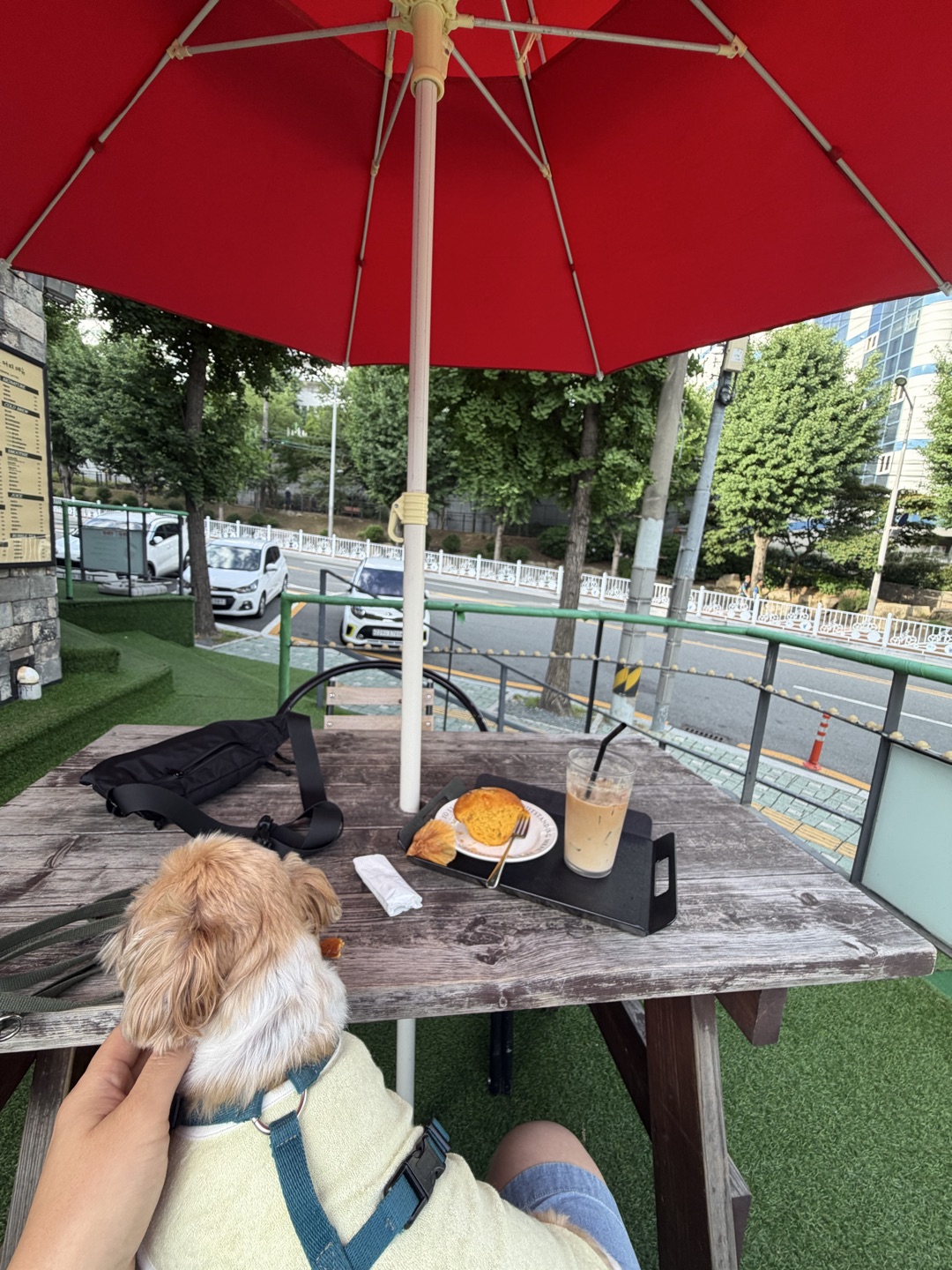스토리 이미지