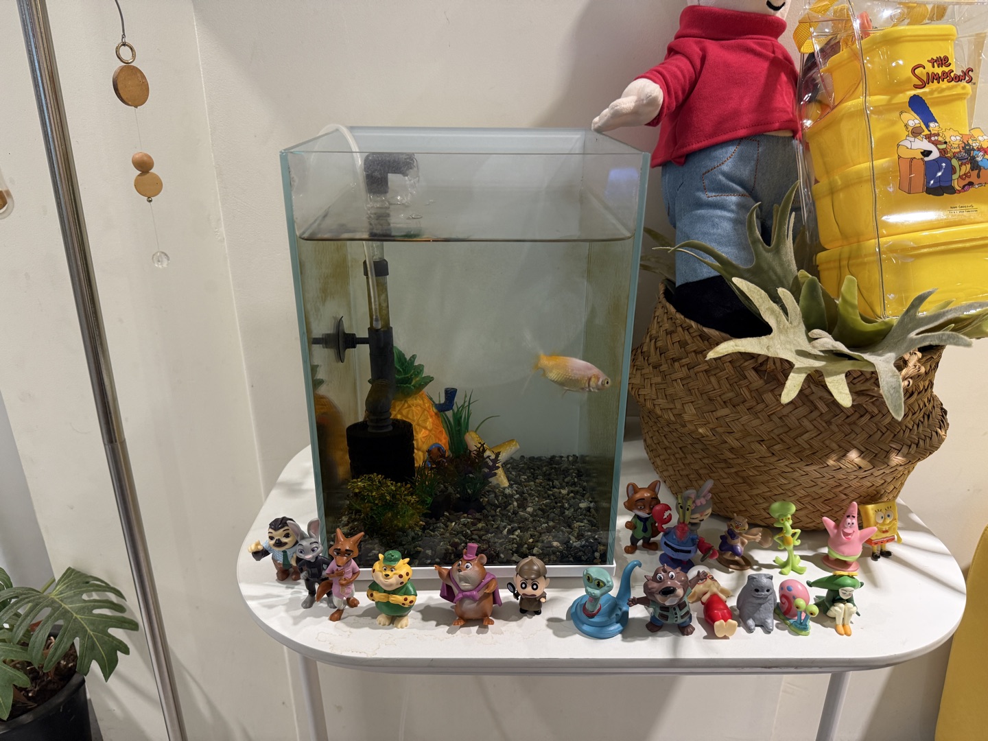 물고기 있어서 귀여워요🐟 어항 바꼈
