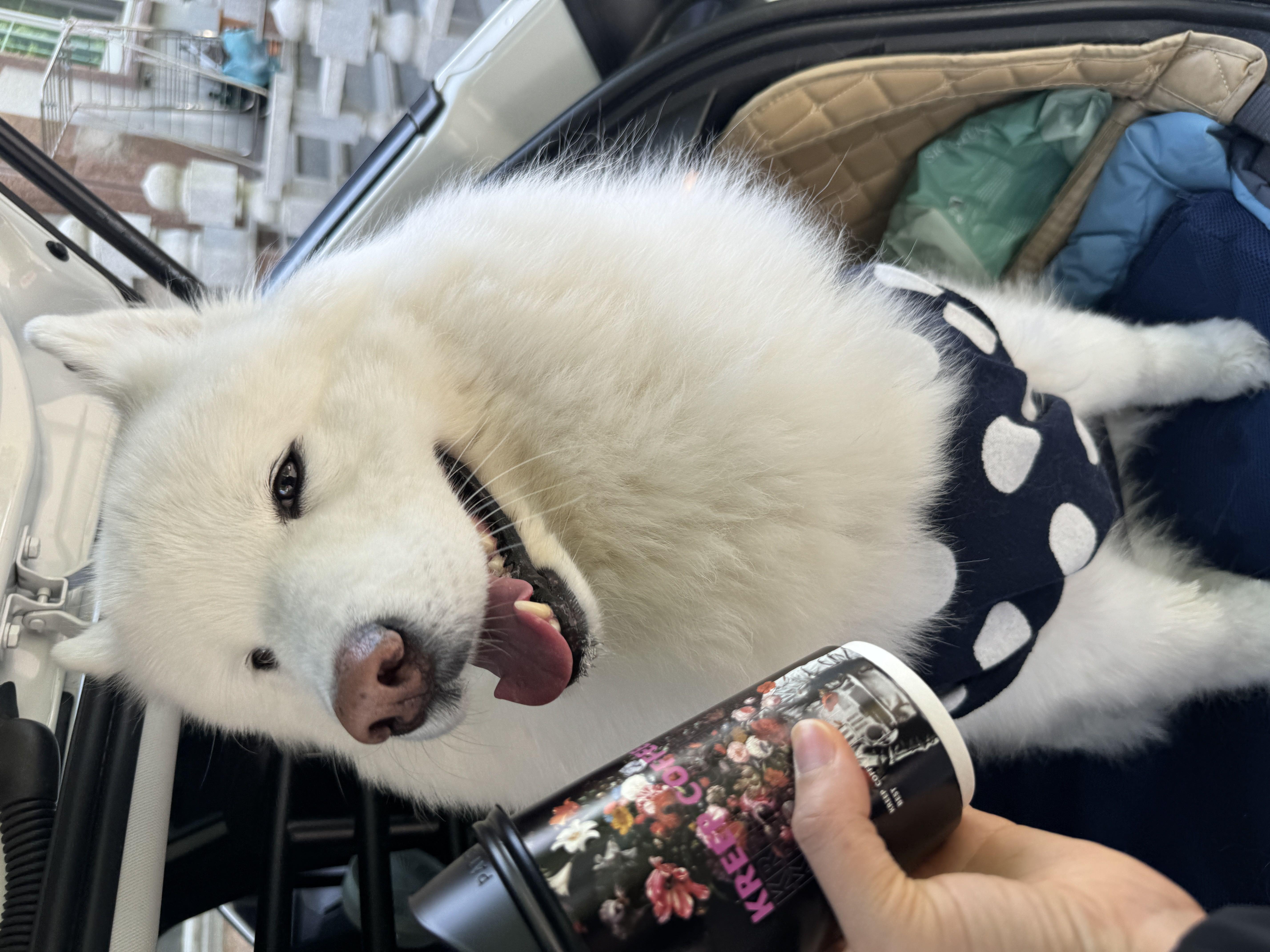 항상 맛있우요 ㅎ