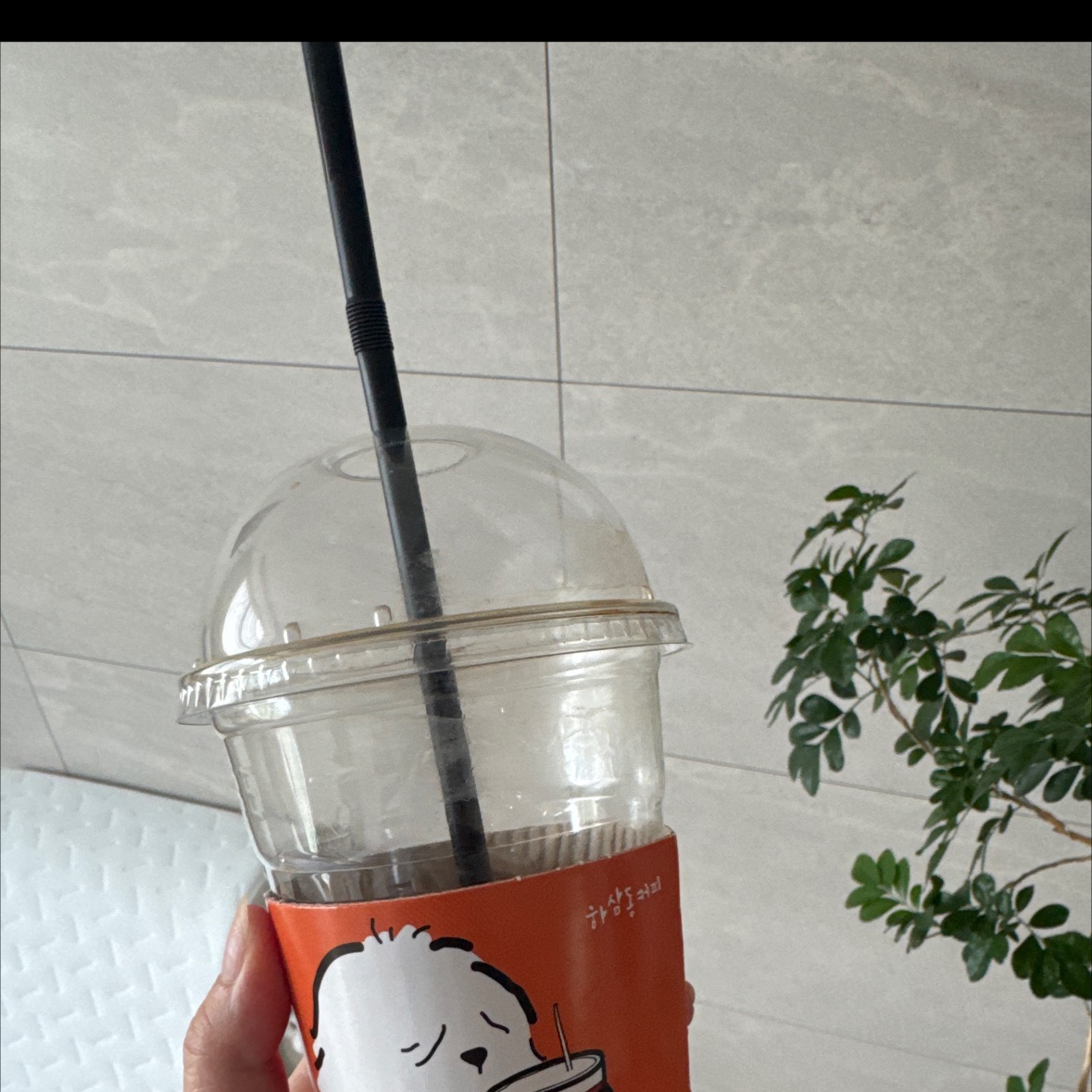 근처 가게중에 아메리카노 제일 맛있는