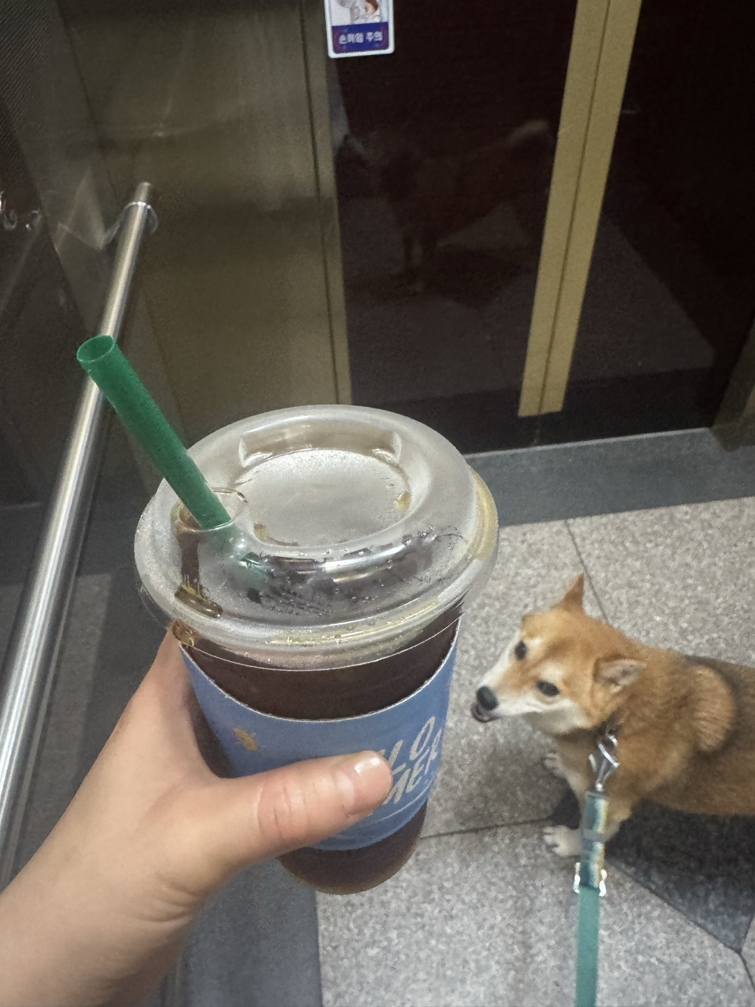 아침에 일찍 열어서 산책하고 먹기 좋