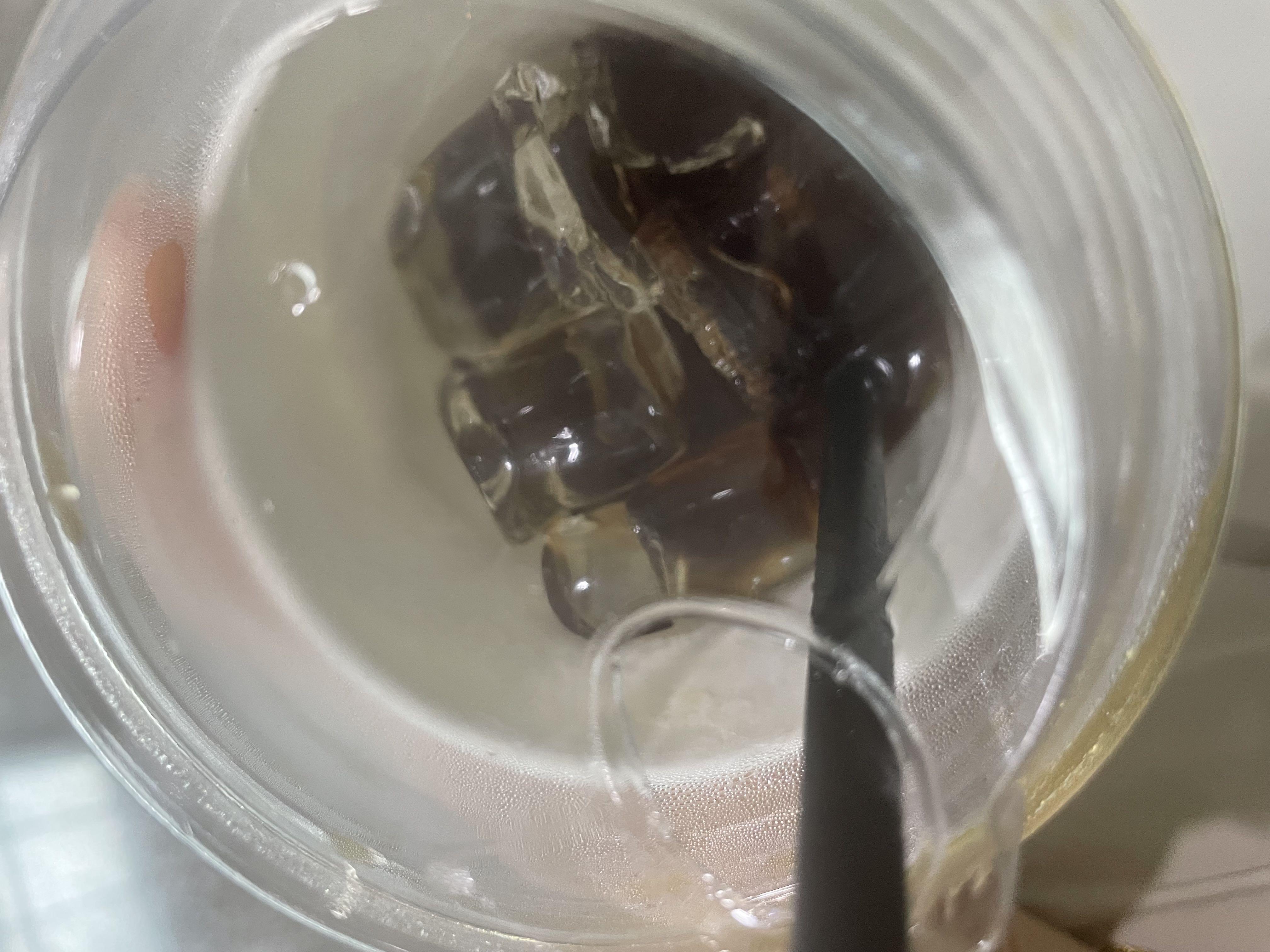 사장님 너무 친절하세요…👍 커피도 