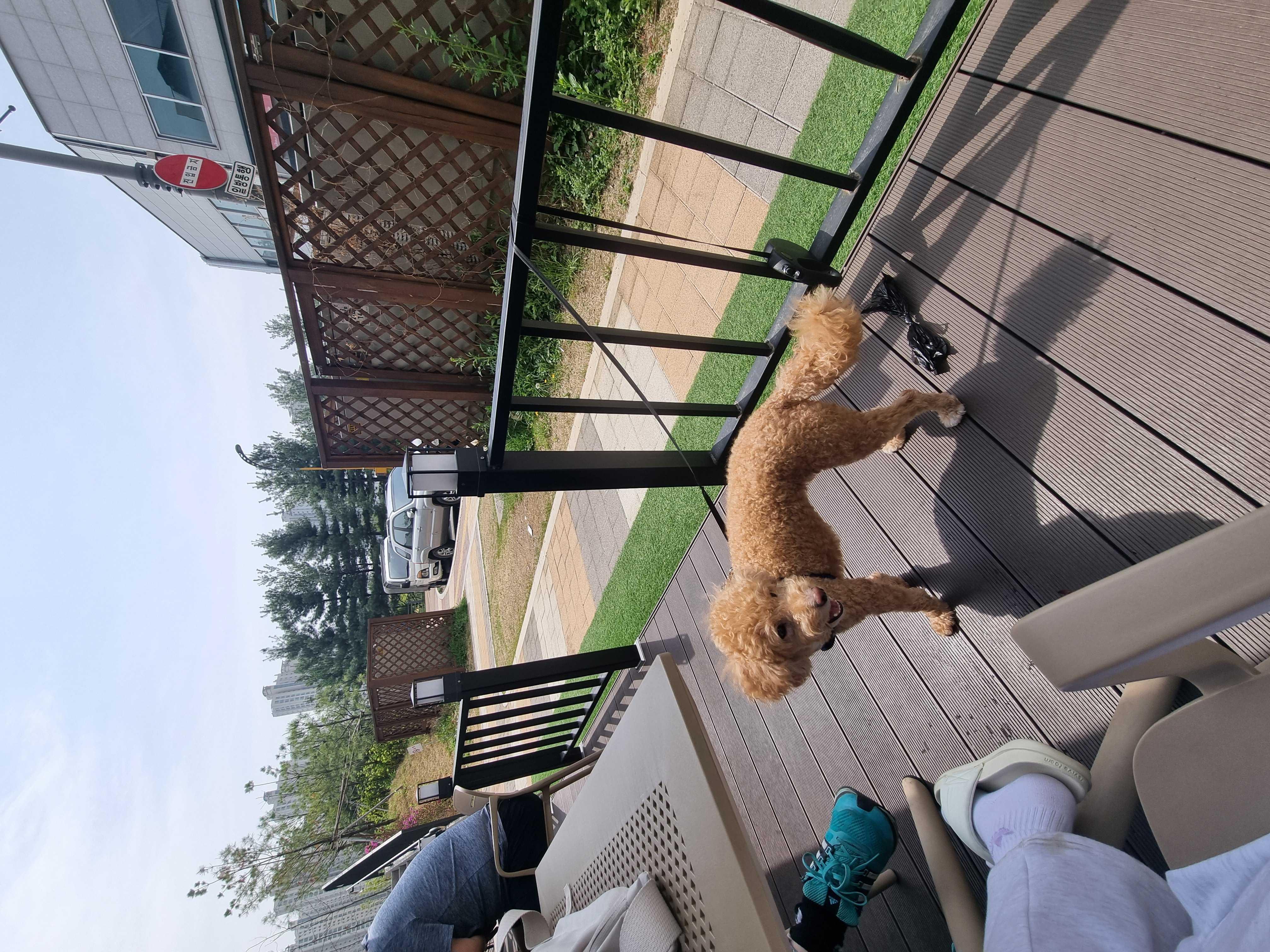 굿
