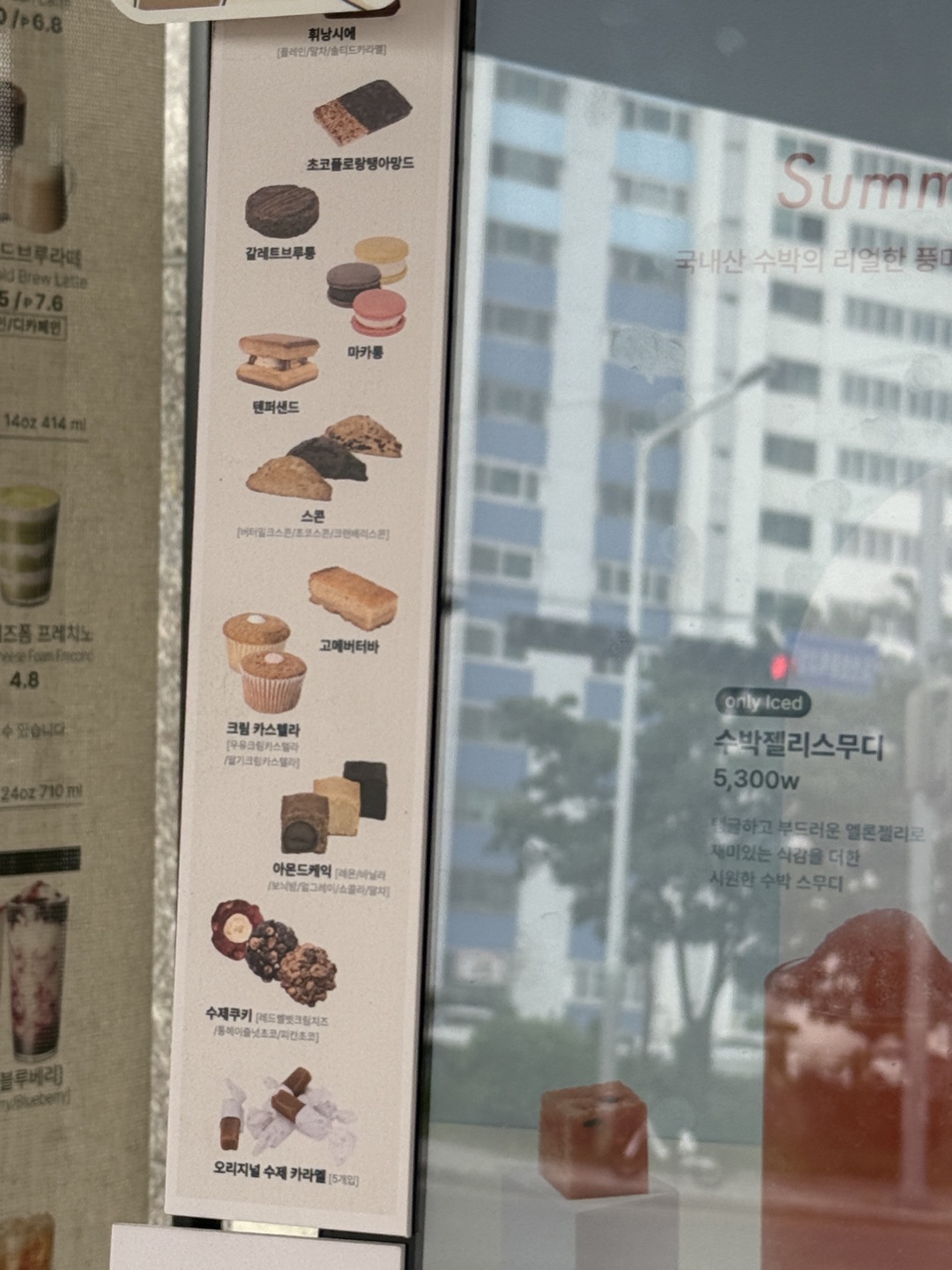 요즘 강아지 산책하고 자주 사마시는 