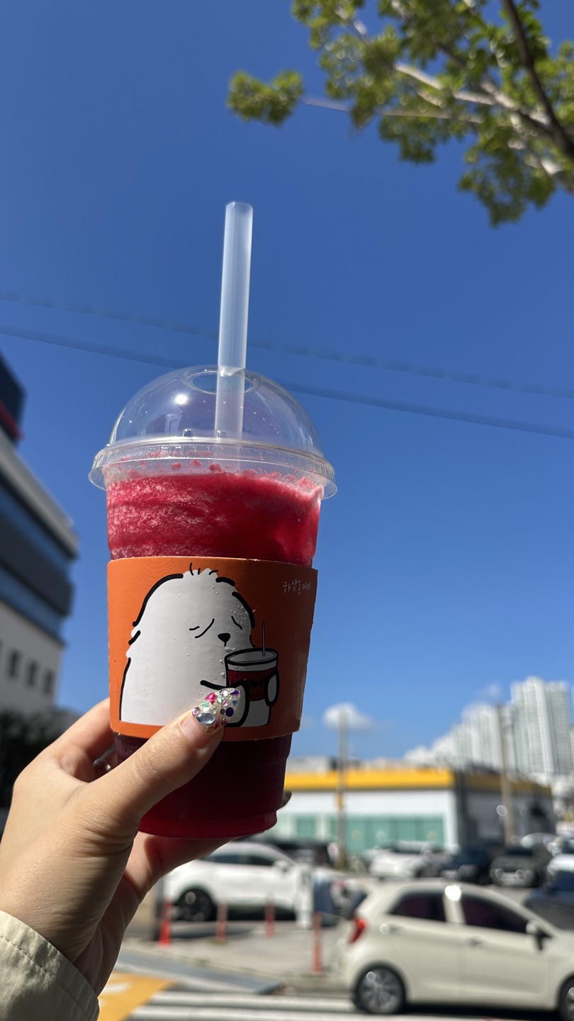스토리 이미지