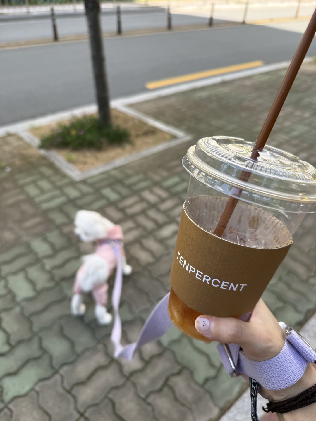 여름에 아아 없으면 산책 못함…🤣�