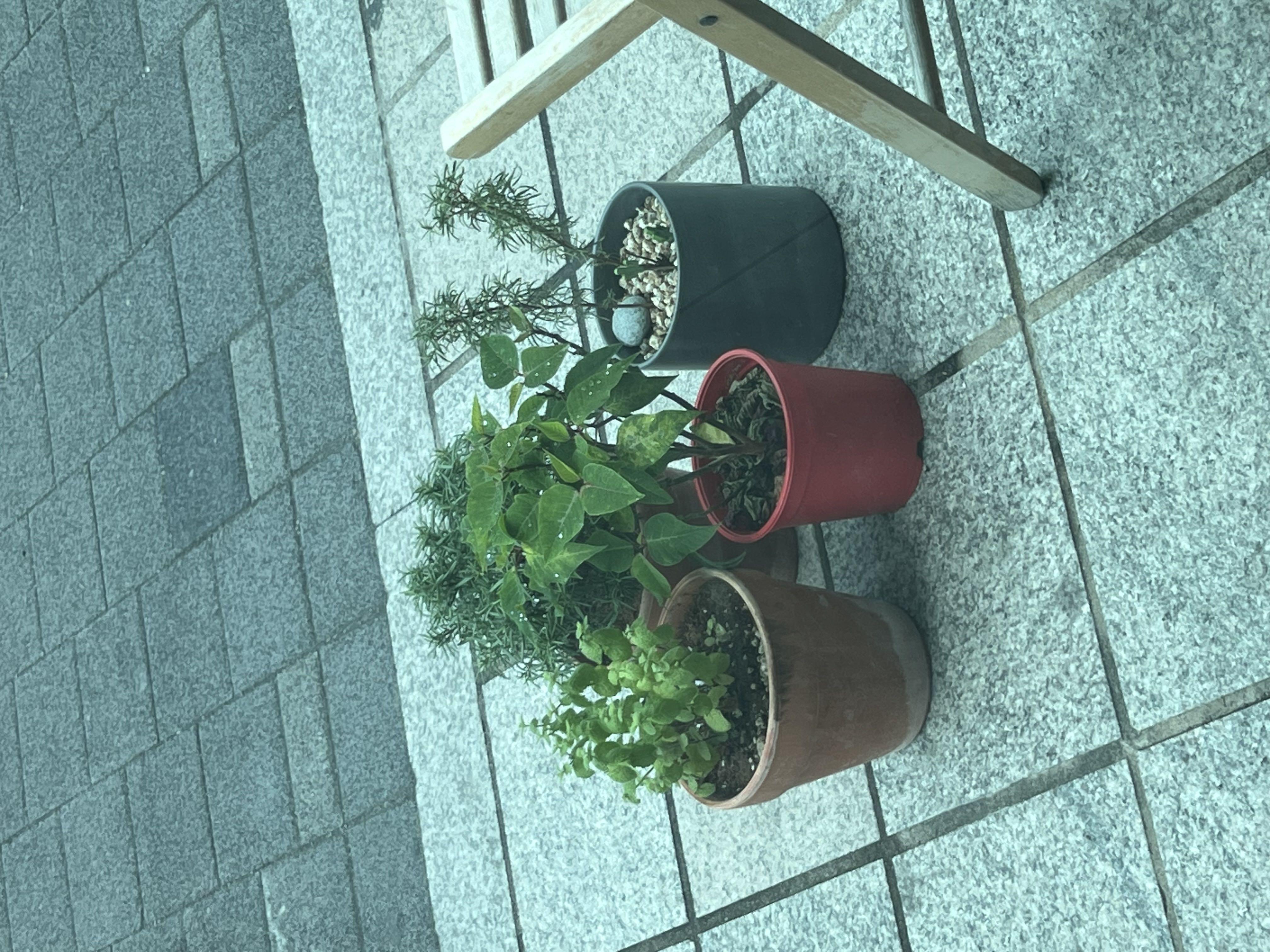 커피가 맛있는 집❤️💚💛💟😆