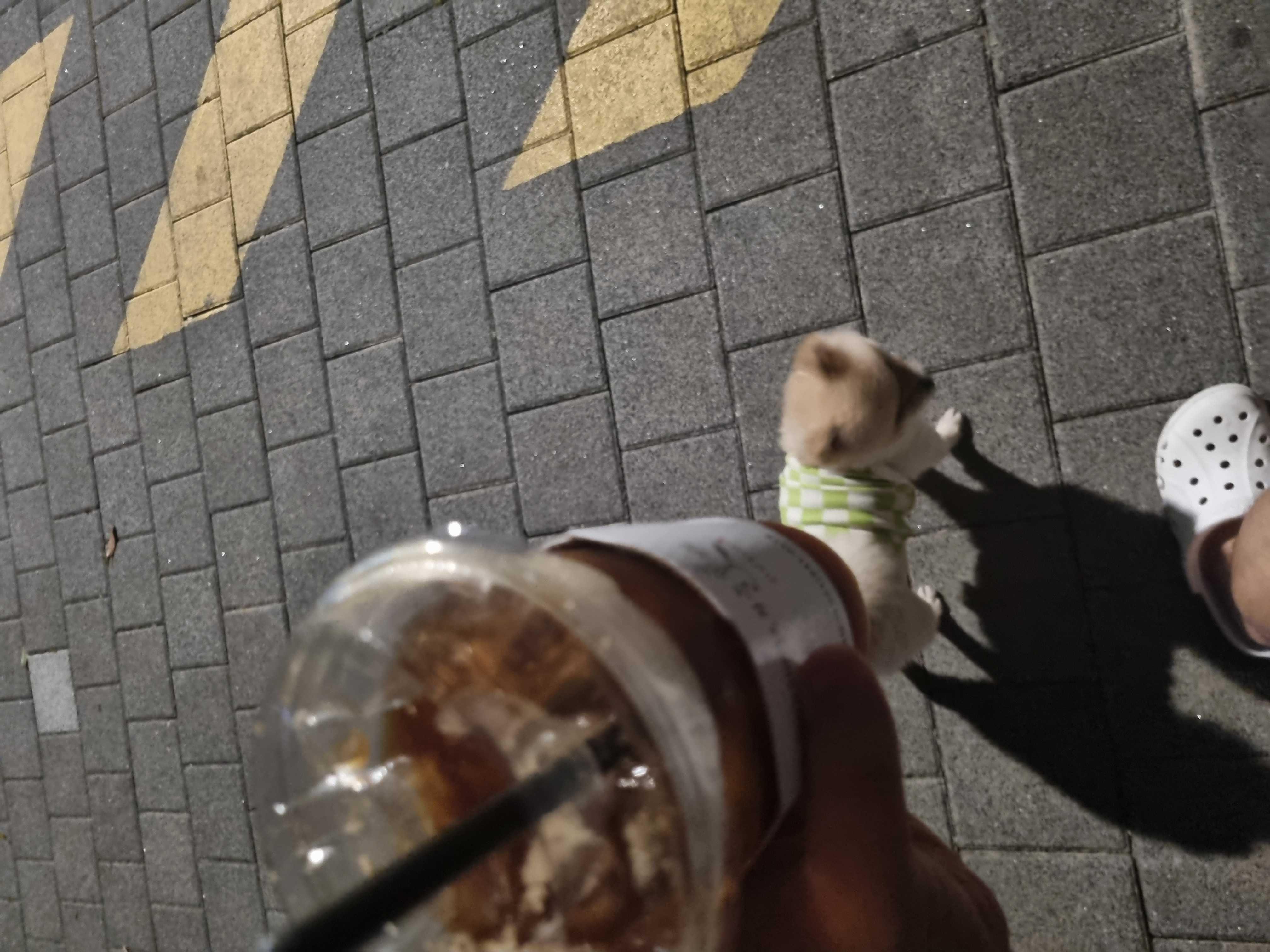 늦은시간인데 착한알바분이 만들어주셨습
