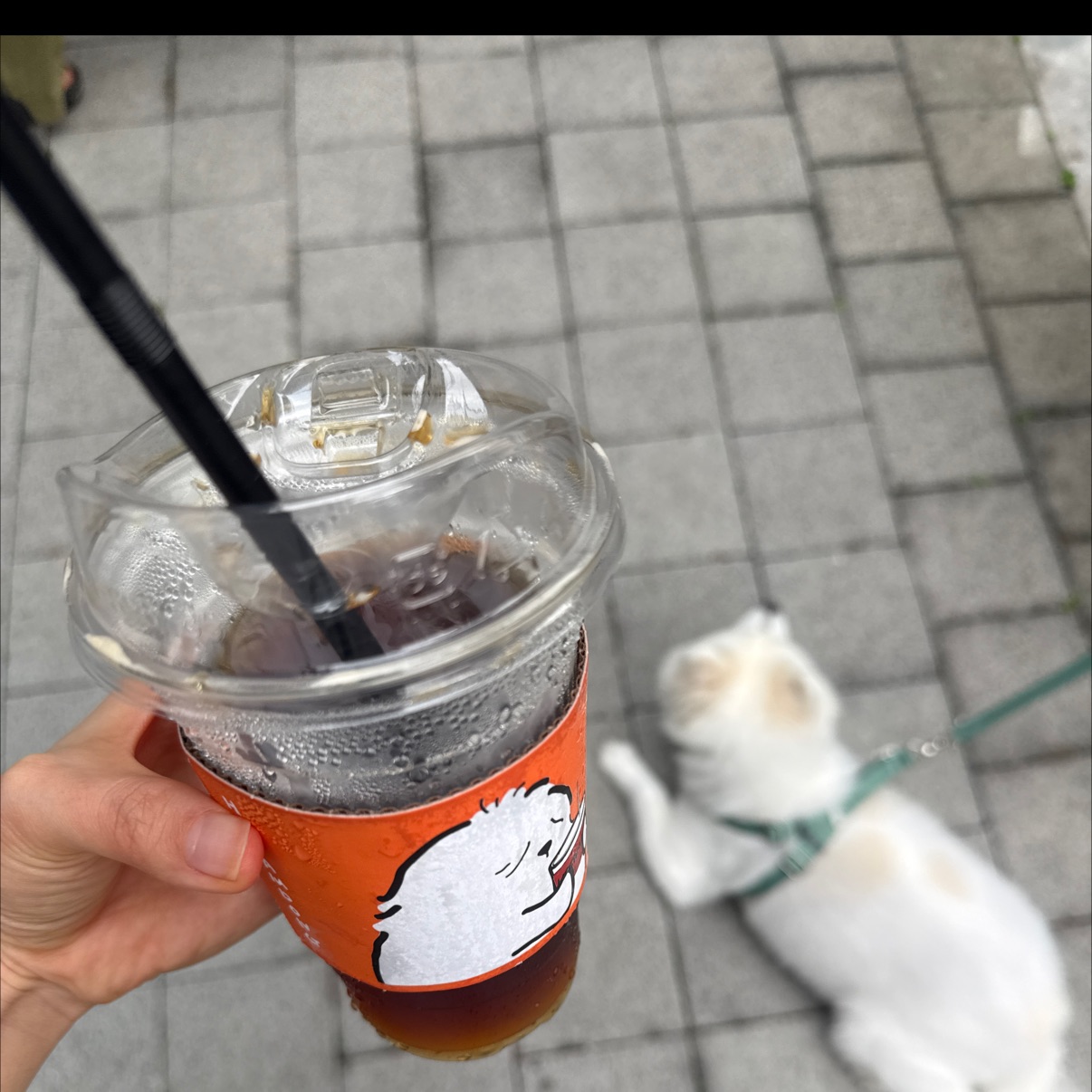 아메리카노는 다크맛이고 우리가 아는 