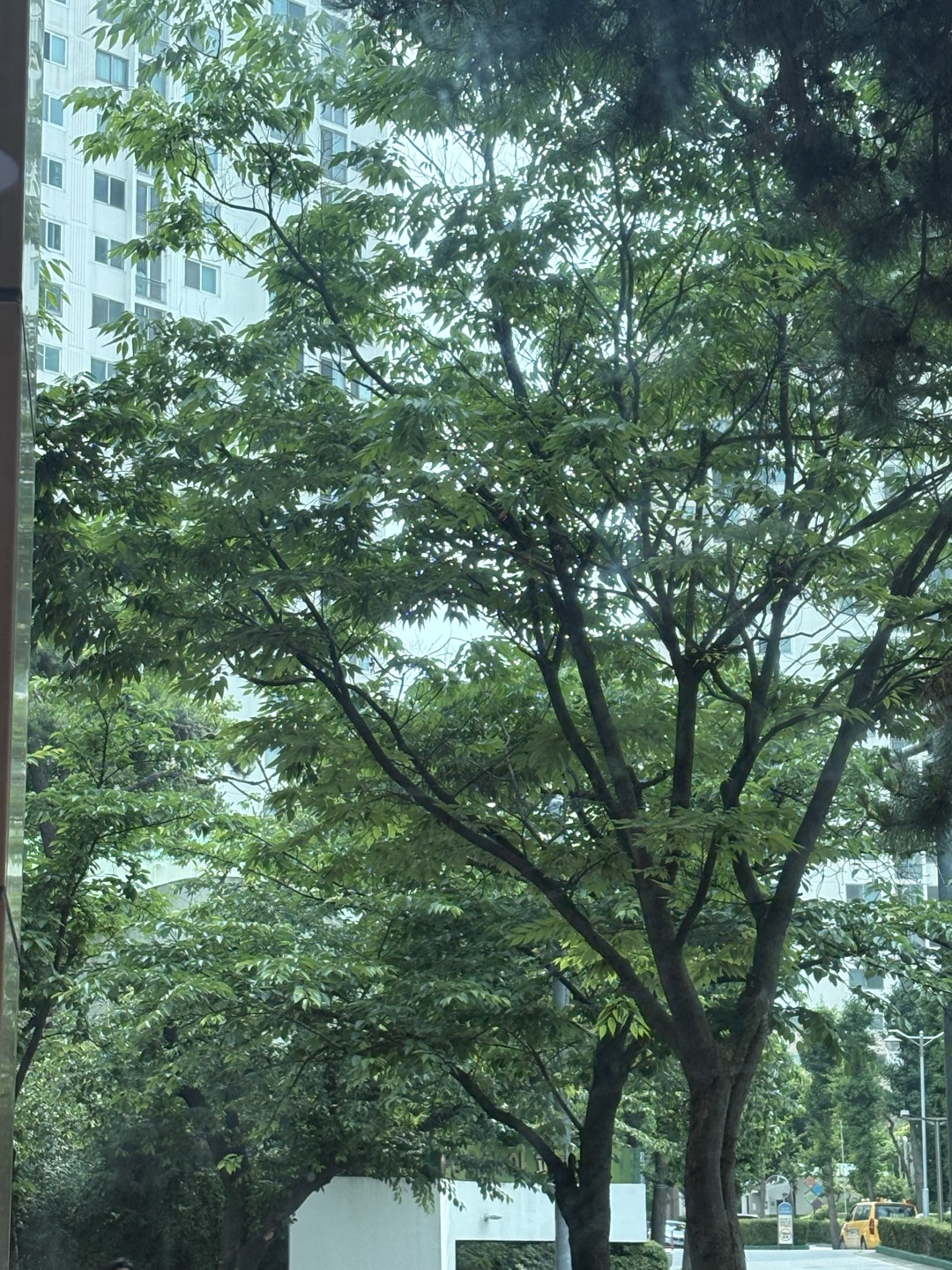 아침타임 직원분 너무너무 친절하세용 