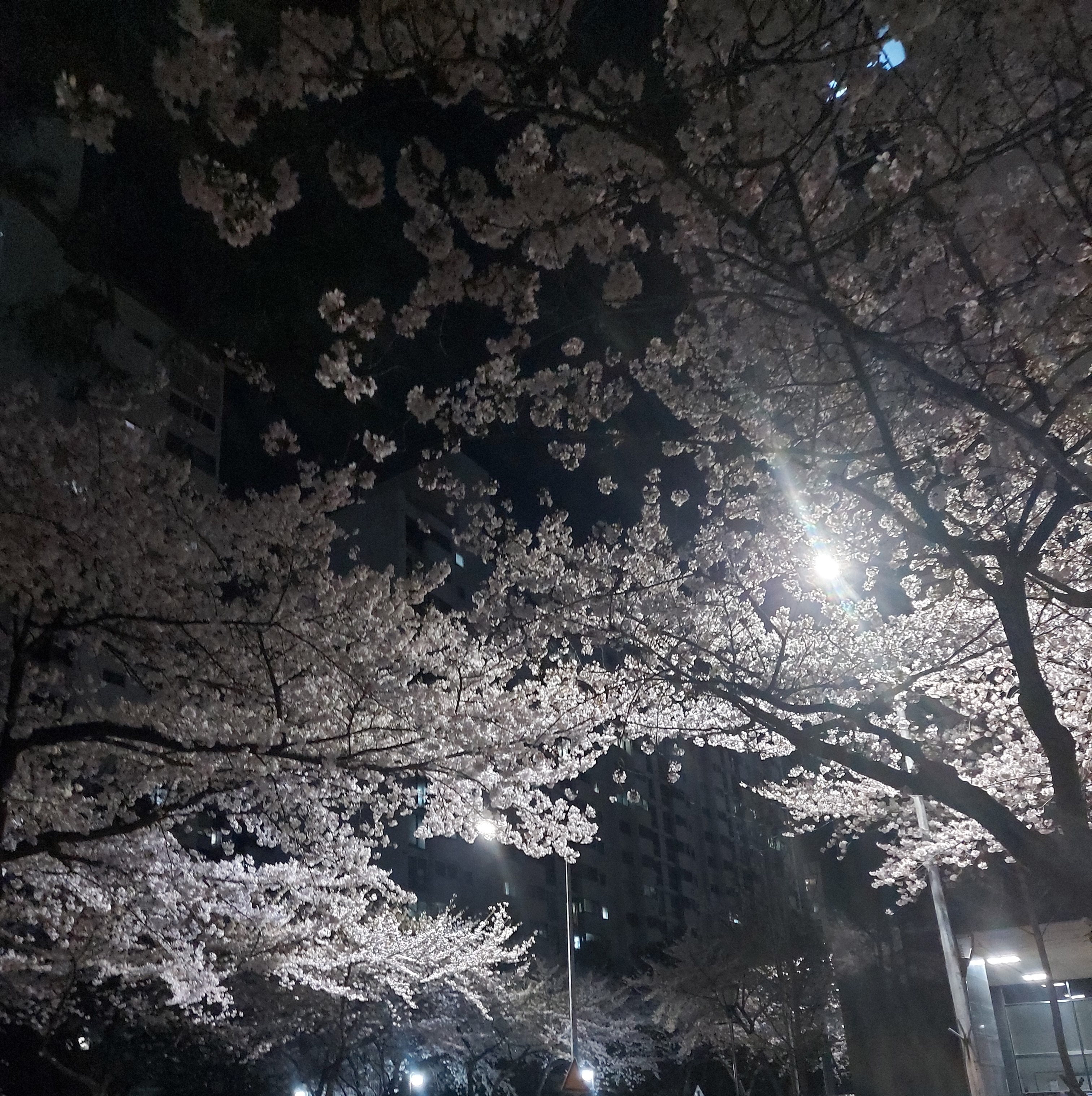 판매자 프로필