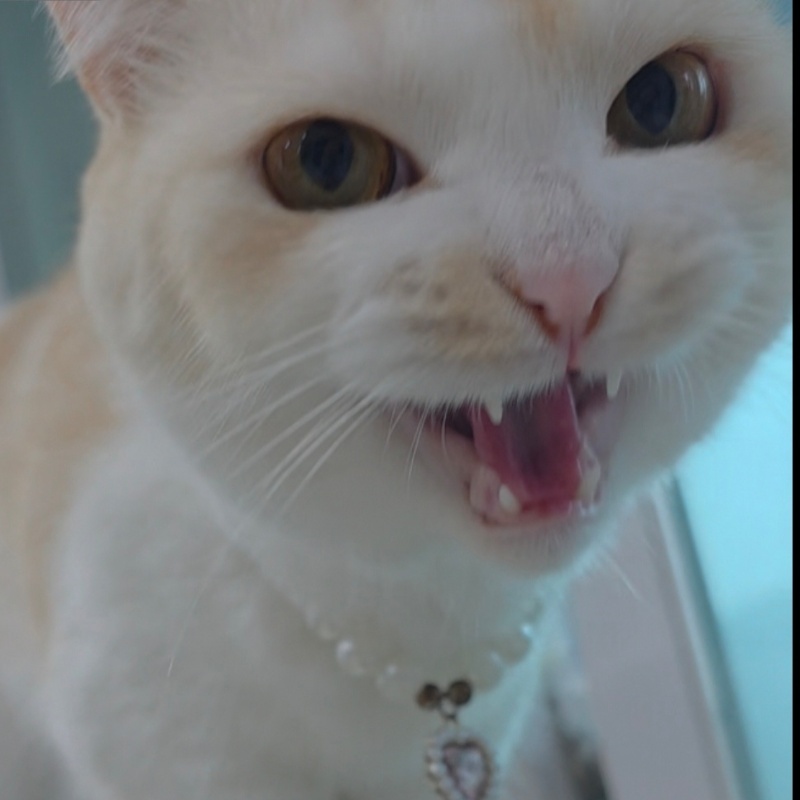 쏭♡