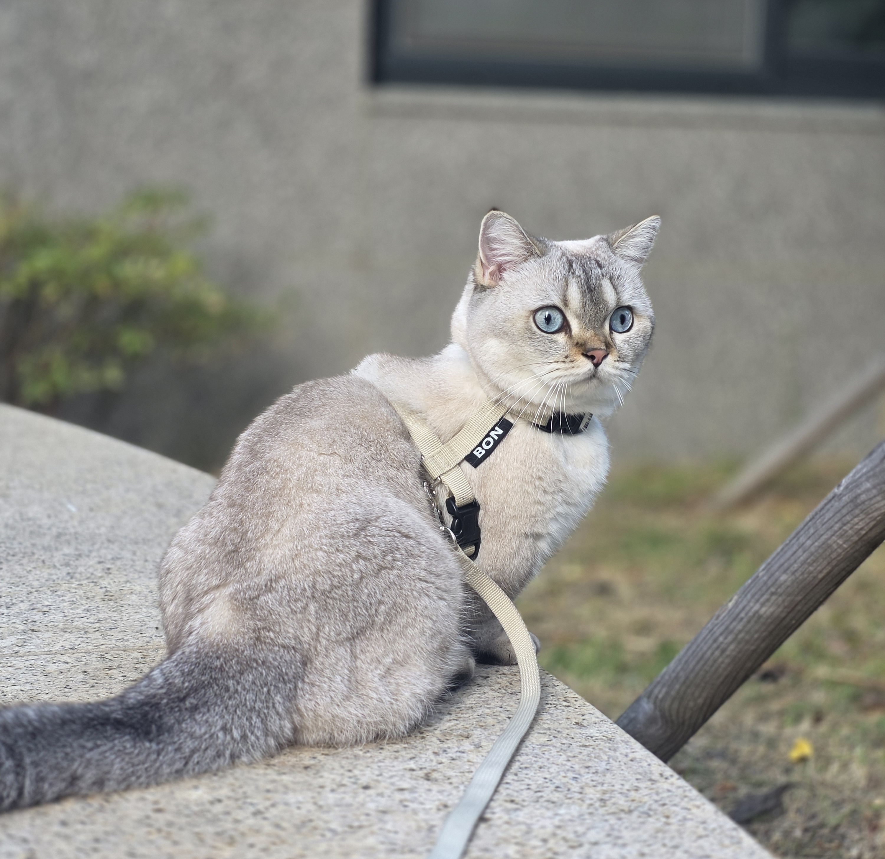 뀨름