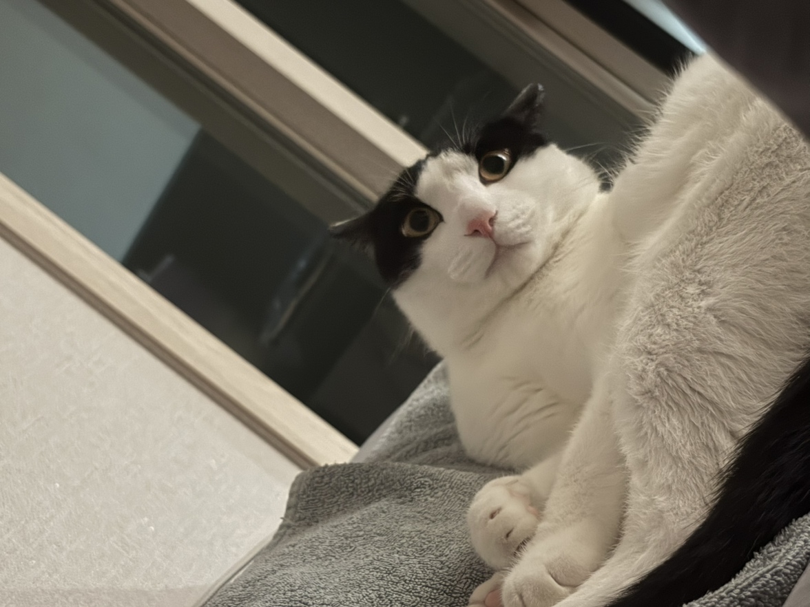 김루나
