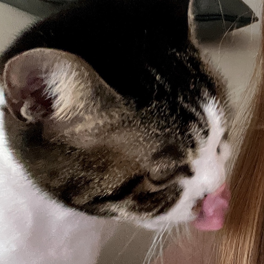 profile-image