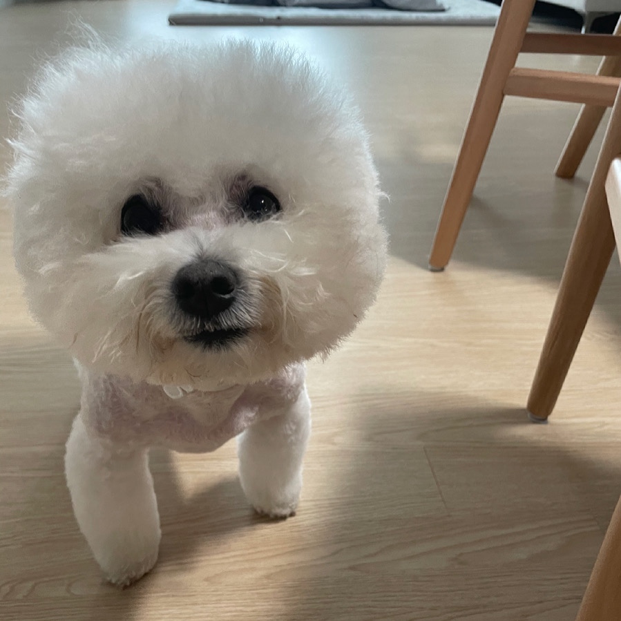 판매자 프로필
