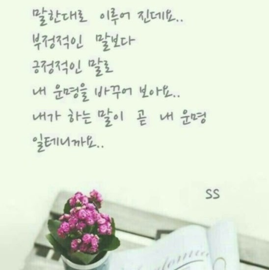 안수진