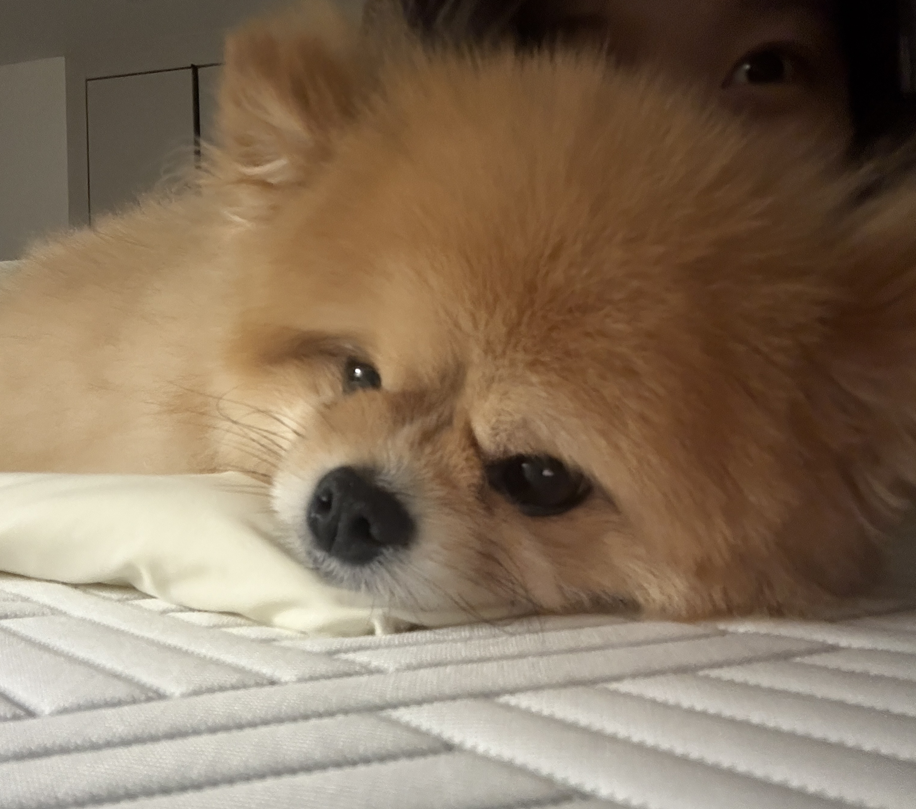 wink u