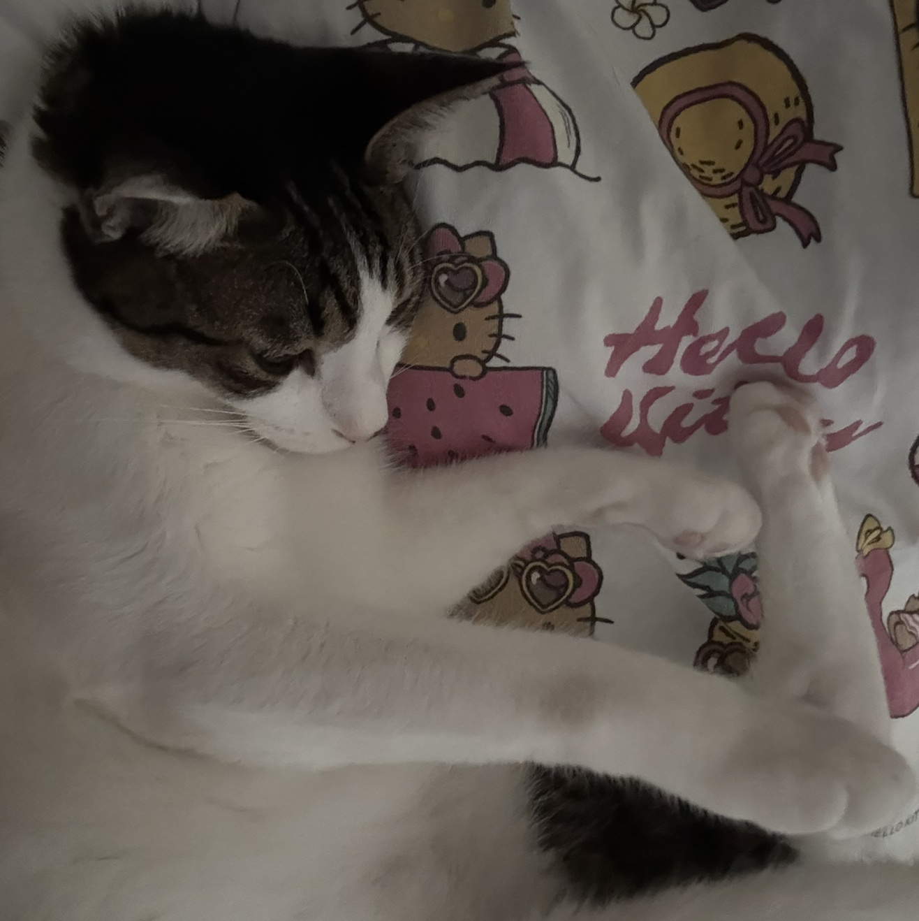 꼬까