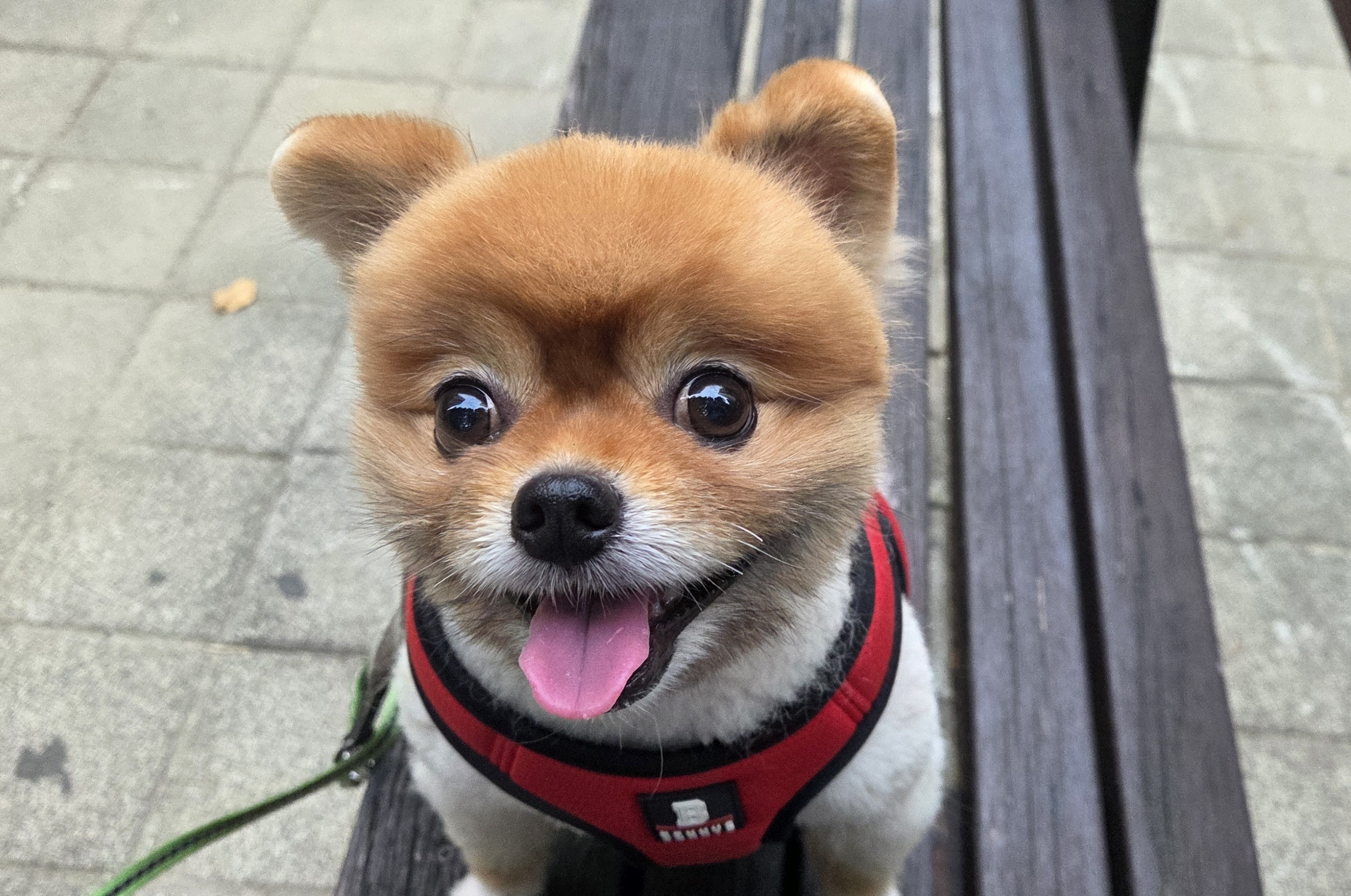 퐁퐁이 아빠