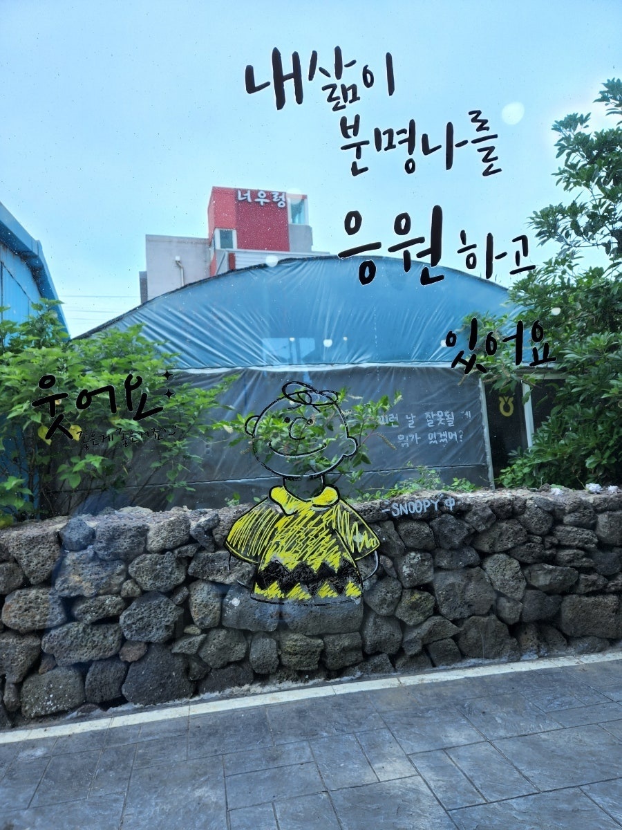 하이바이_