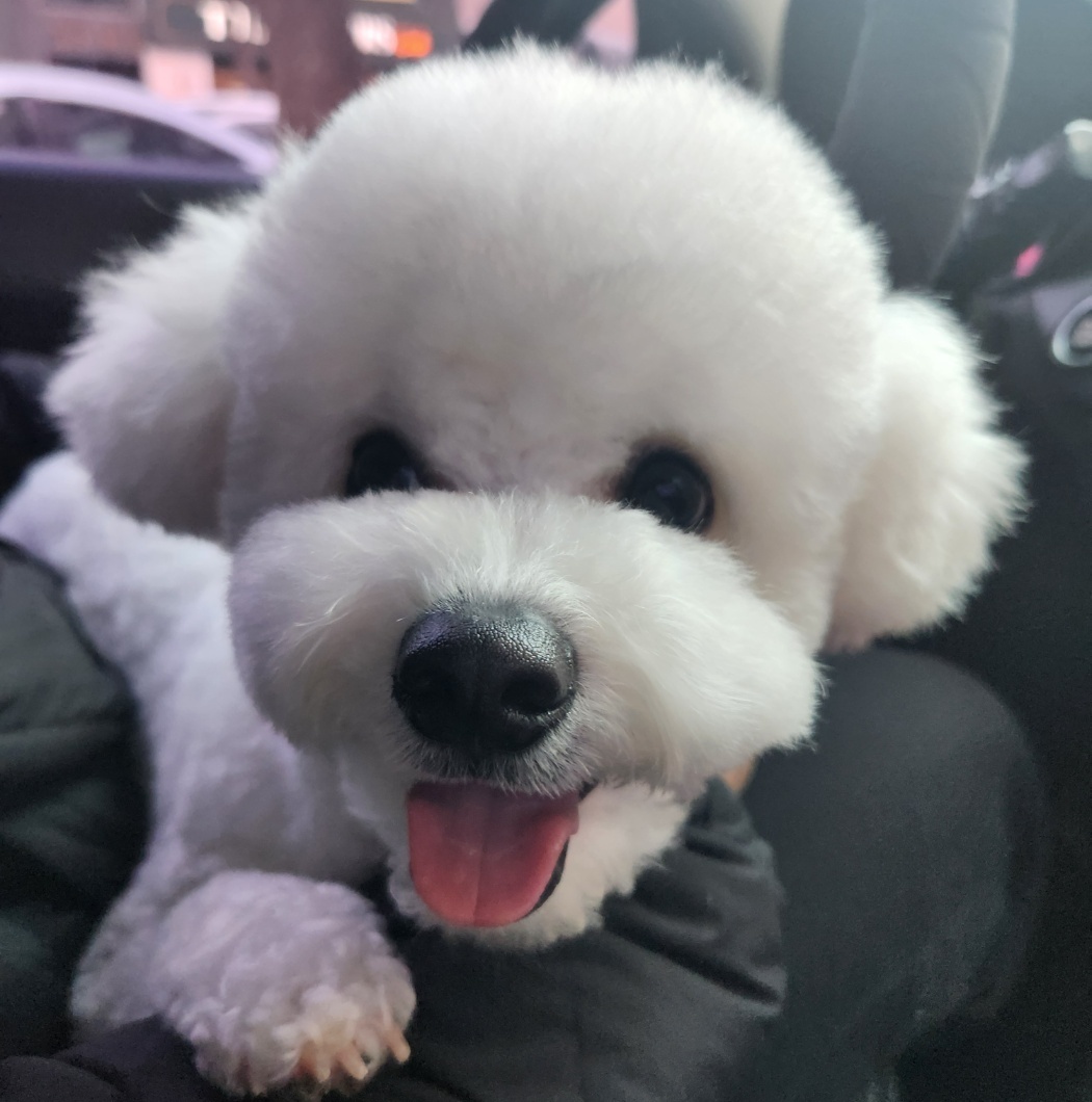 판매자 프로필